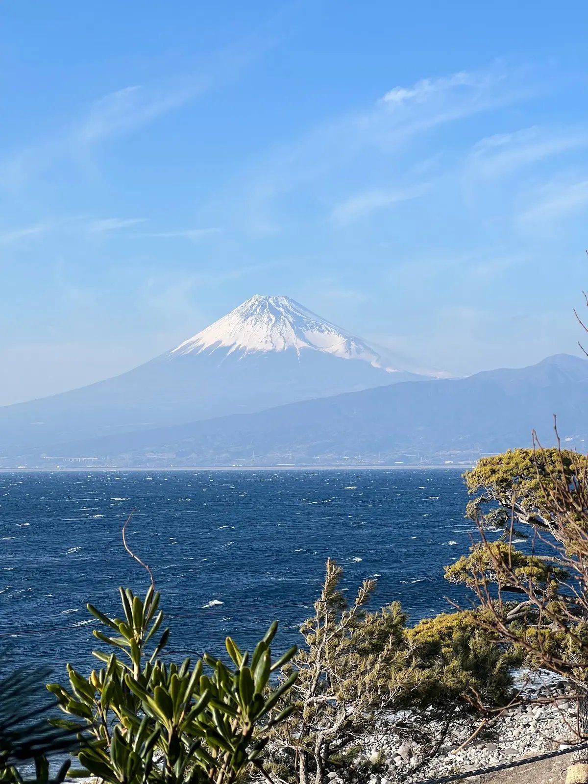🏖️ 라라라 선 비치